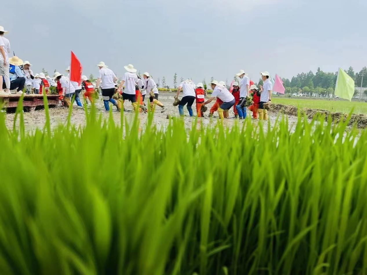 1654738096612485